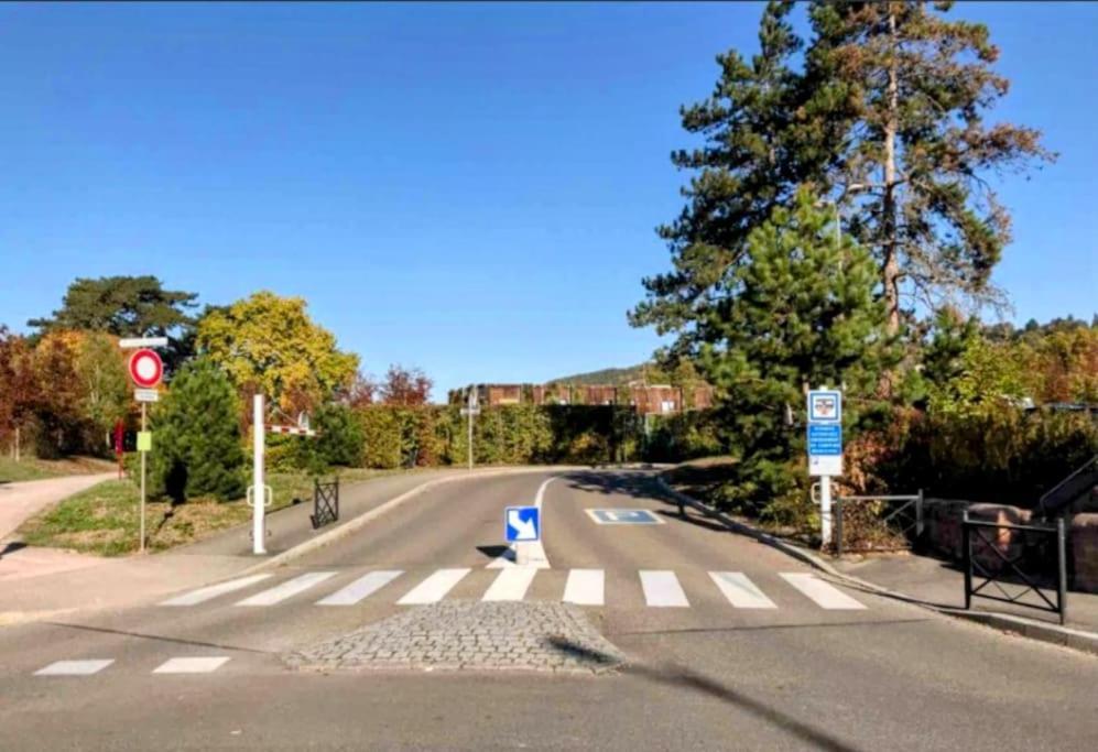 Apartamento L'Appar'T - Centre Historique De Obernai Exterior foto