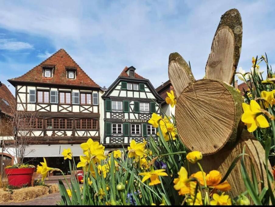 Apartamento L'Appar'T - Centre Historique De Obernai Exterior foto