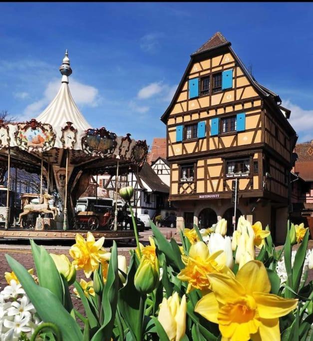 Apartamento L'Appar'T - Centre Historique De Obernai Exterior foto